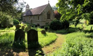 Churchyard with green unmown grass on a sunny day