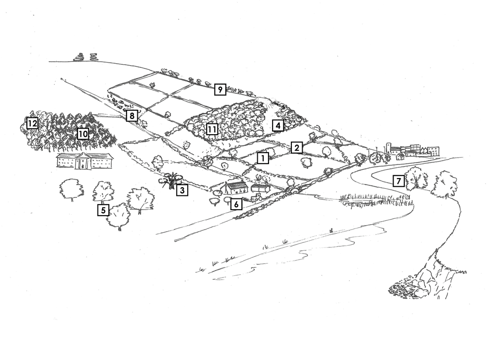 a drawing of a landscape