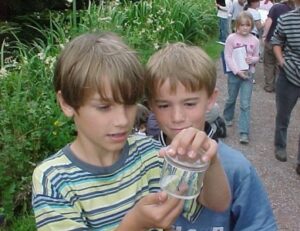 Children pond dipping