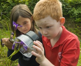 Child looking through lens