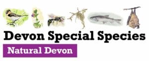 Devon special species logo