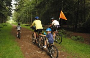 Family on a bike ride through a forest