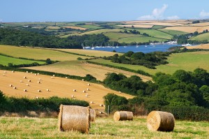 View over a field of haybales to the sea