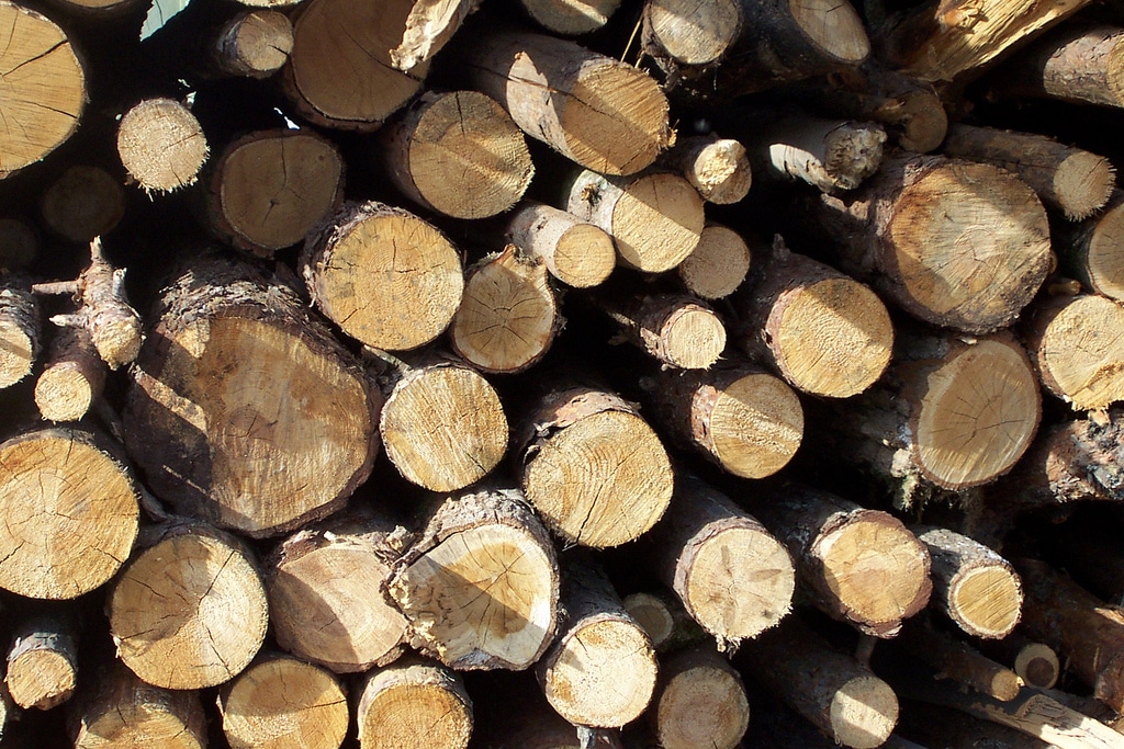 Log pile