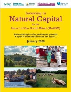 Natural capital poster