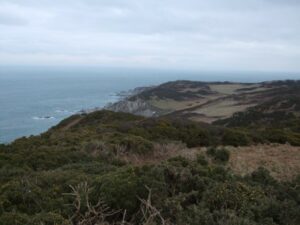 A cliff top landscape