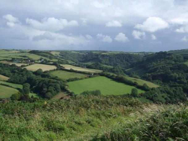 A view of fields and woodlands