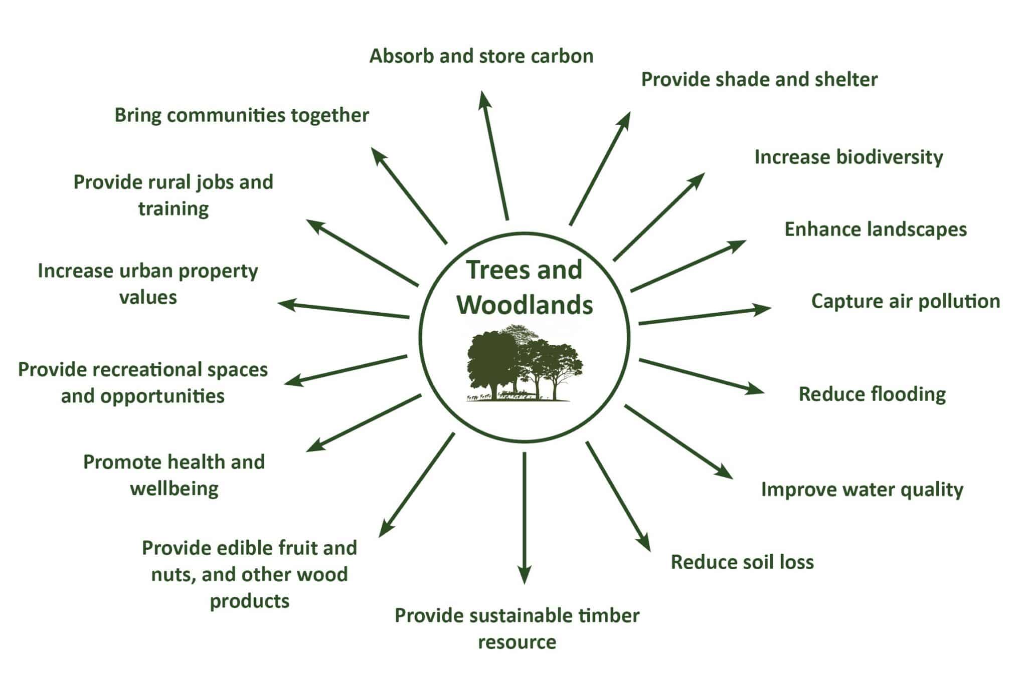 Right Place Right Tree Devon Local Nature Partnership