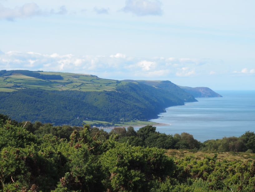 tree covered clifftop looking out to sea