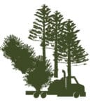 medium sized woodlands icon