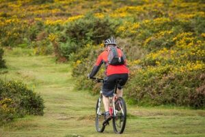 Cyclist on the moor