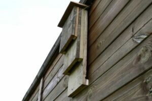 Bat box on building