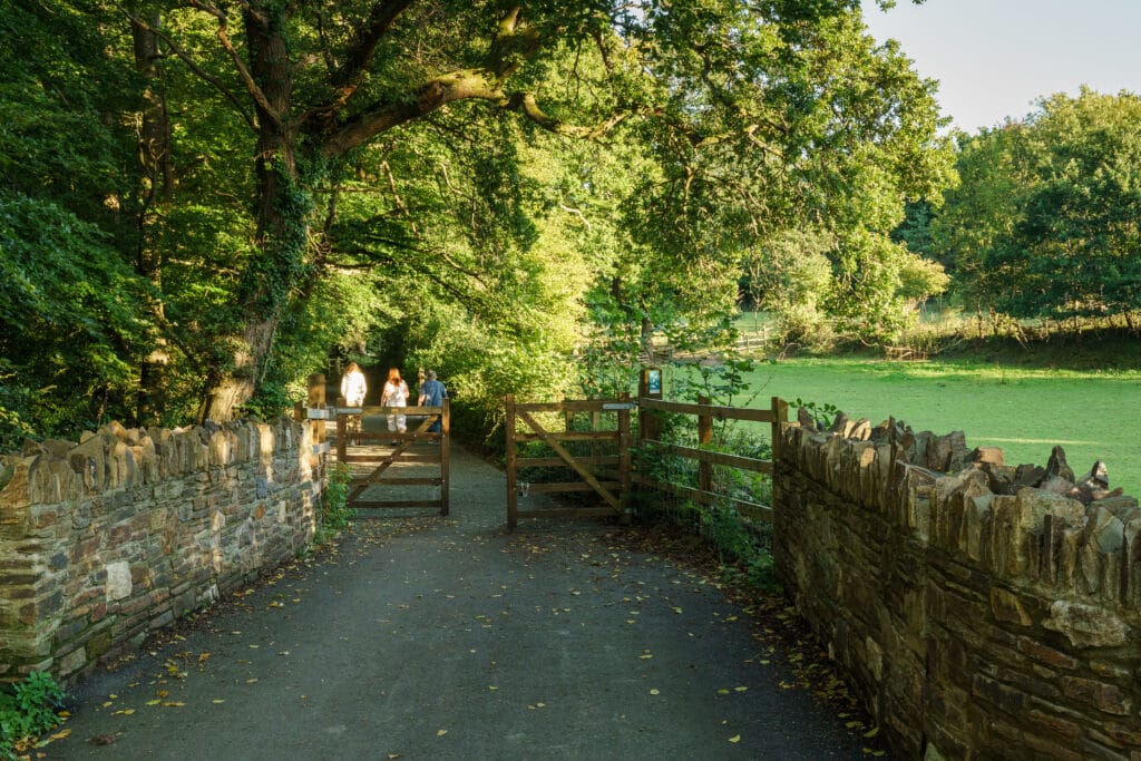 A cycle trail in the summer line with trees