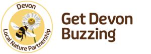 Get Devon Buzzing logo