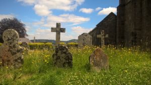 Gravestones surrounded by wildflowers