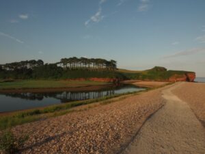 Trees along the Otter estuary